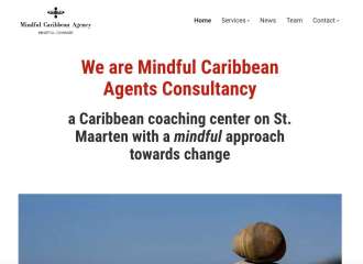 mindful agency website